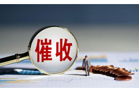 凉山为什么选择专业追讨公司来处理您的债务纠纷？