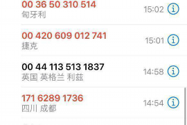 凉山凉山的要账公司在催收过程中的策略和技巧有哪些？